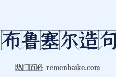 布鲁塞尔造句是什么意思的图片